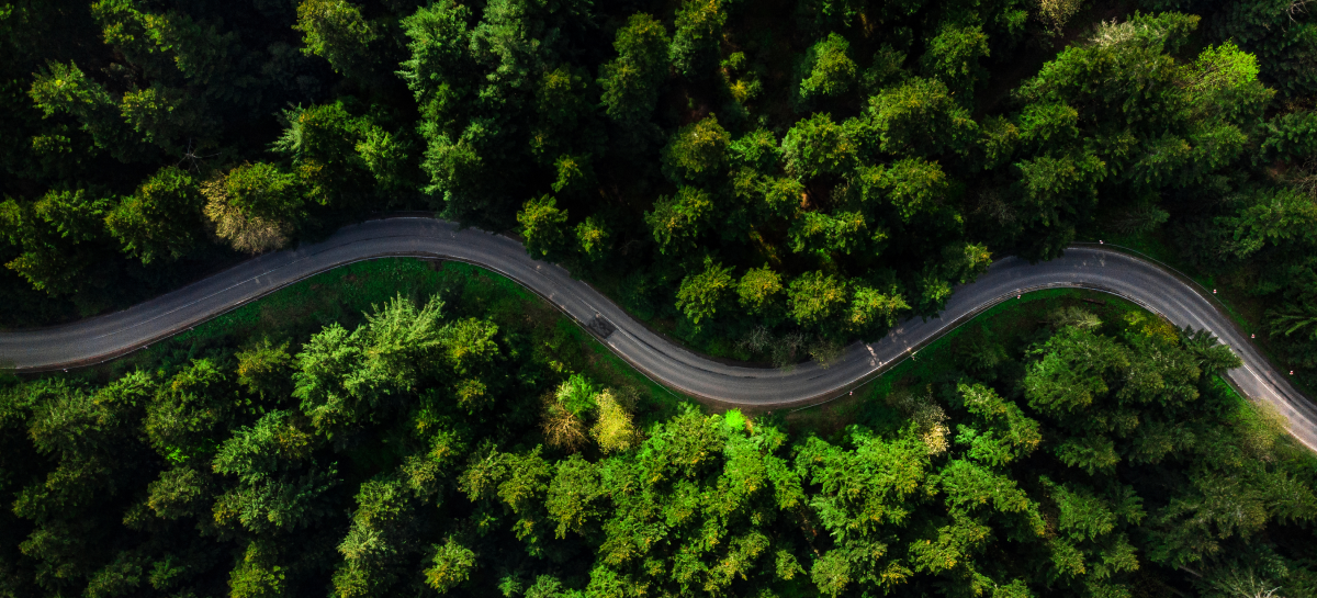 Evans Auto Repair Marc Yount's Tire Pros